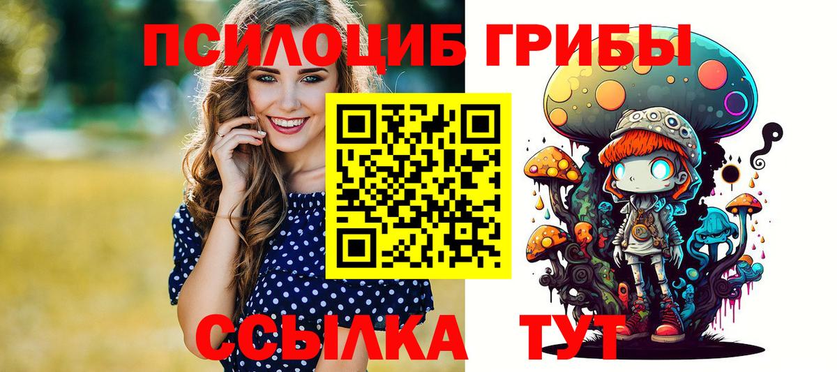 Псилоцибиновые грибы Psilocybine cubensis Кореновск
