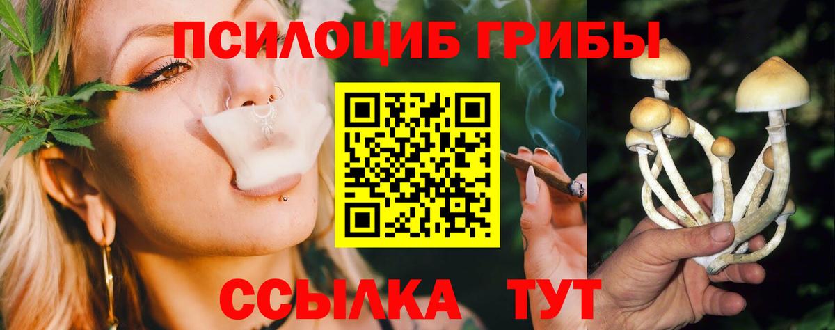 Галлюциногенные грибы MAGIC MUSHROOMS  Псилоцибиновые грибы мицелий  Вход с VPN  Кореновск 